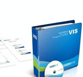 企業(yè)VIS形象設(shè)計與品牌策劃推廣 構(gòu)建品牌價值的核心要素