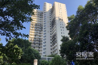 香山麗舍 公寓 優(yōu)點 不足,香山麗舍 公寓 怎么樣,香山麗舍 公寓 周邊房產(chǎn)中介經(jīng)紀人評價