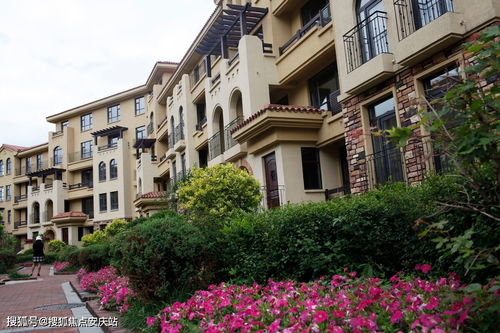 最新動態 樓盤信息 房價 戶型 周邊配套,交通地圖及動態